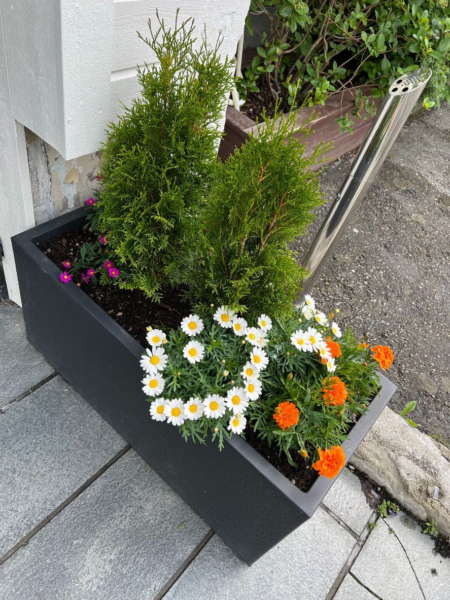 Blomsterkasse ute